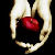 :iconcate182: