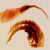 :iconcatealist: