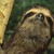 :iconcatelyn9neco: