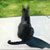 :iconcatfactory:
