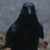 :iconcatfishrisingstudio: