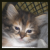 :iconcatfoodtuna: