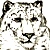 :iconcatfuret: