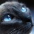 :iconcatgaze:
