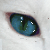 :iconcatgirlprincess1234: