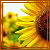 :iconcath1234:
