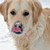 :iconcatharina-sco: