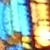 :iconcatharsisummer: