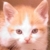 :iconcathartis: