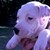 :iconcatherineamy3: