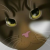 :iconcathmoytura:
