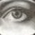 :iconcathubodva13: