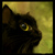 :iconcathy-fong: