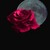 :iconcathy-jo:
