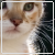 :iconcatillac: