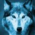 :iconcatinreno: