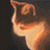 :iconcatinthedark: