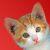 :iconcatisbetterthandog: