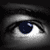 :iconcatjenka:
