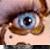 :iconcatjester: