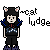 :iconcatjudge: