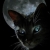 :iconcatlilith: