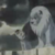 :iconcatlionsouldog: