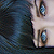 :iconcatlover: