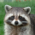 catlover10192 :iconcatlover10192: