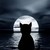 :iconcatlover3288: