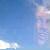 :iconcatlt001: