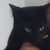 :iconcatlunch: