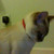 :iconcatluver840: