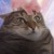 :iconcatmanpants:
