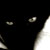 :iconcatonmars: