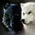 :iconcatpawisland:
