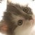 :iconcatperson12: