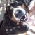 :iconcatpower1912: