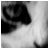 :iconcatpuchino: