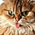 :iconcatpullsthetongueplz:
