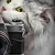 :iconcatsandmustaches: