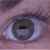 :iconcatscooner: