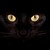 :iconcatsilhouette: