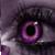 :iconcatsitta: