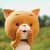 :iconcatsliketosleep: