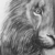 :iconcatslover20: