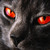 :iconcatsofabmis: