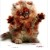 :iconcatsoulcat:
