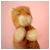 :iconcatspjm: