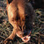 :iconcatsteaks: